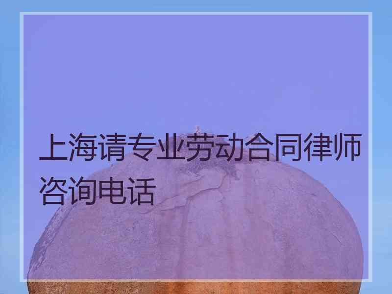 上海请专业劳动合同律师咨询电话