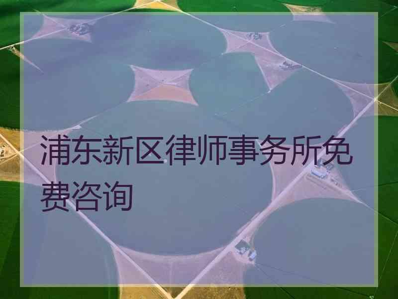 浦东新区律师事务所免费咨询