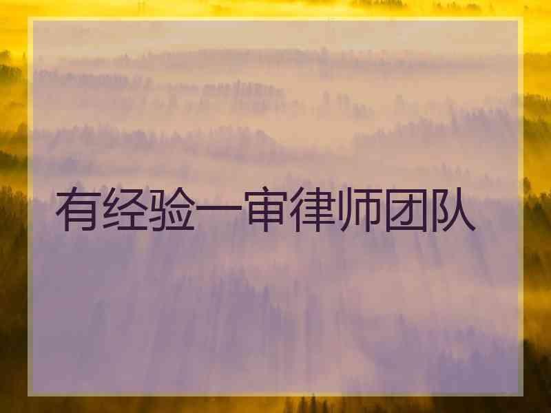 有经验一审律师团队