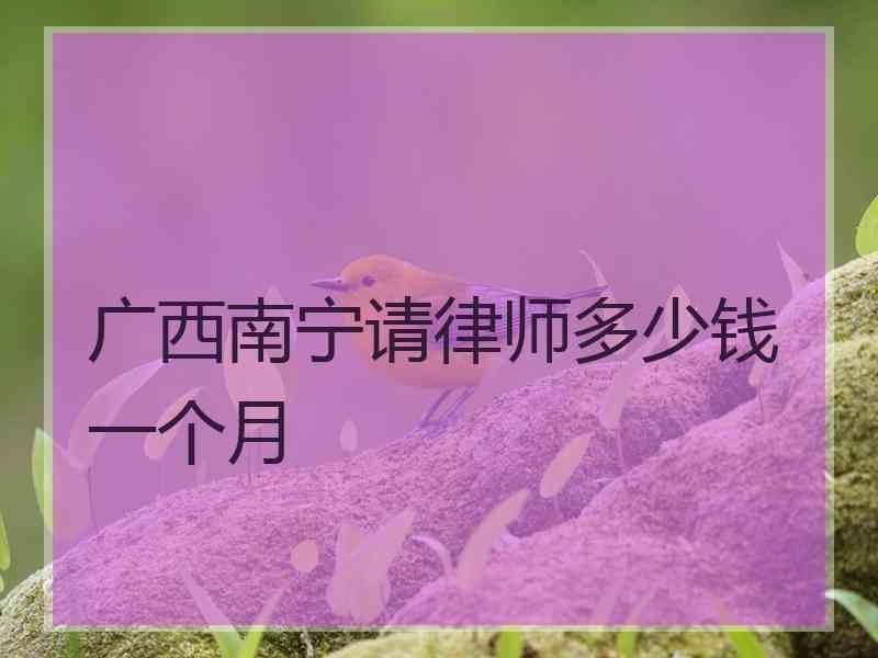 广西南宁请律师多少钱一个月