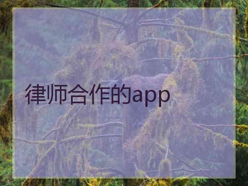 律师合作的app