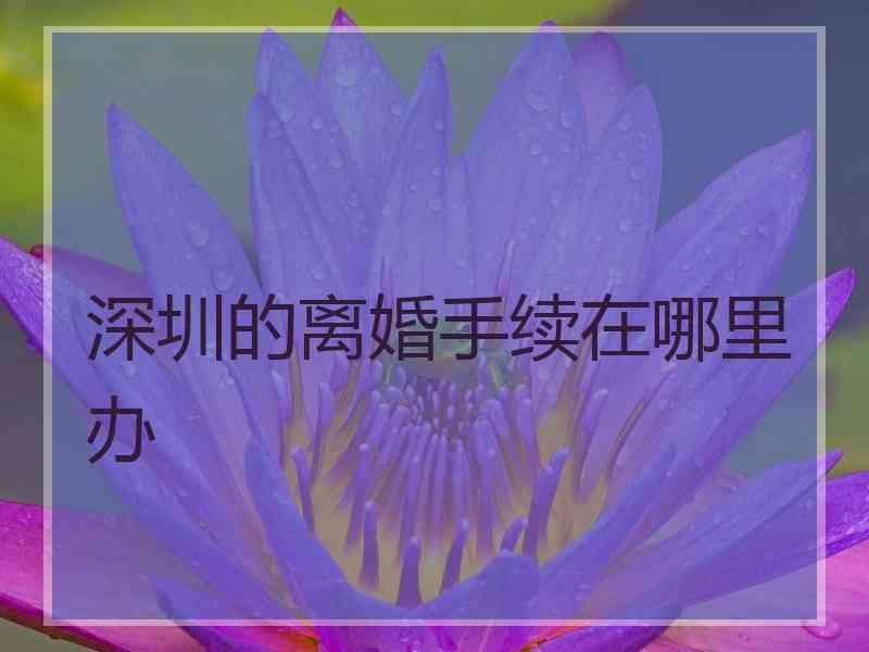 深圳的离婚手续在哪里办