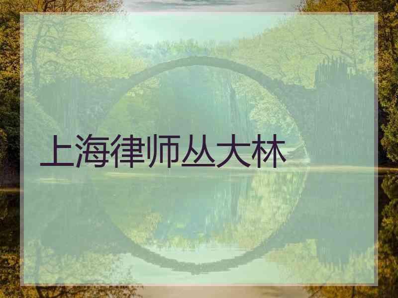 上海律师丛大林