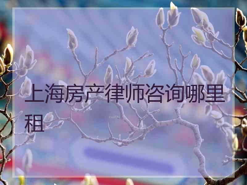 上海房产律师咨询哪里租