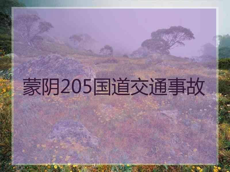 蒙阴205国道交通事故