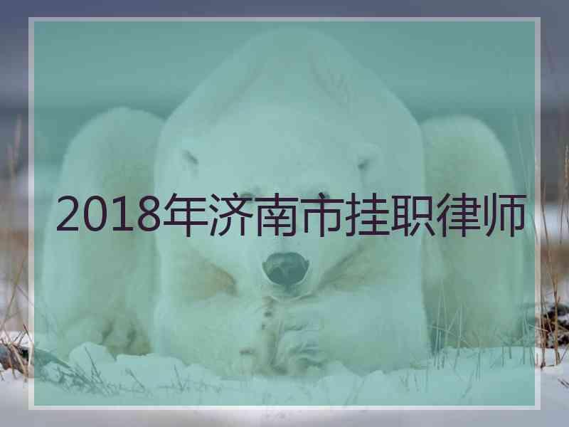 2018年济南市挂职律师