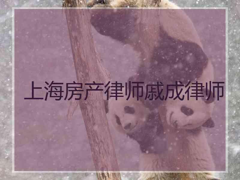 上海房产律师戚成律师