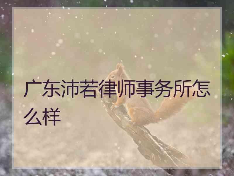 广东沛若律师事务所怎么样