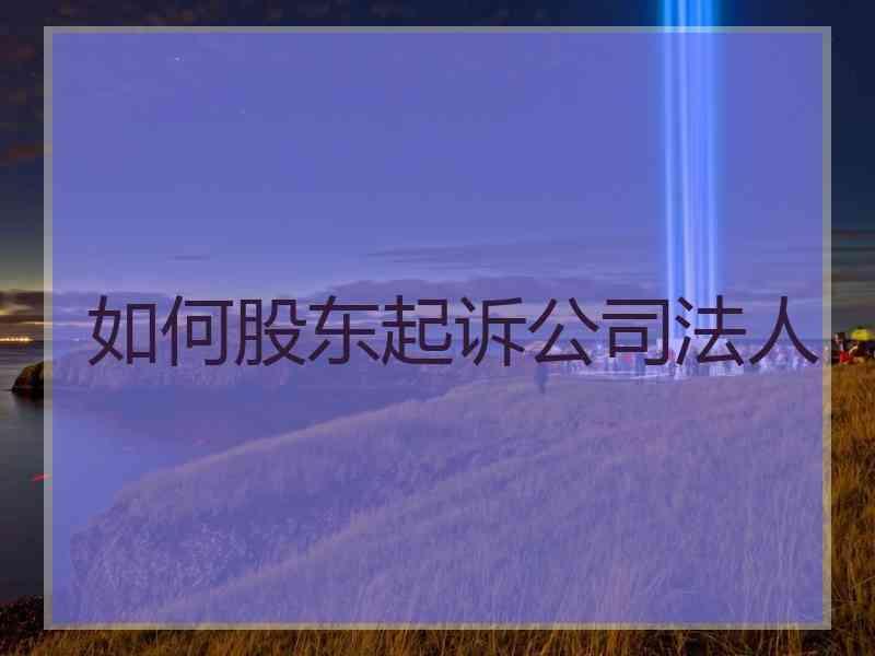 如何股东起诉公人