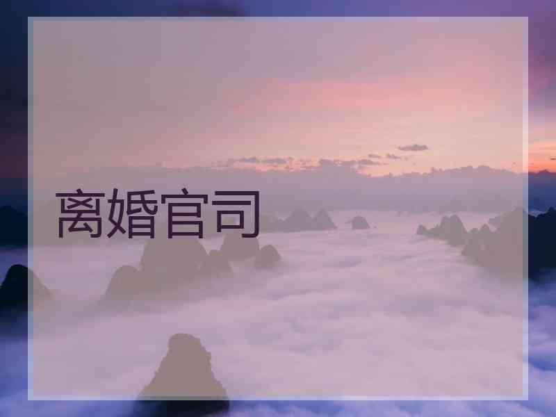 离婚官司