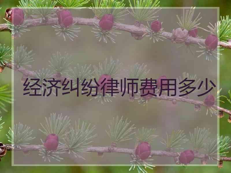 经济纠纷律师费用多少