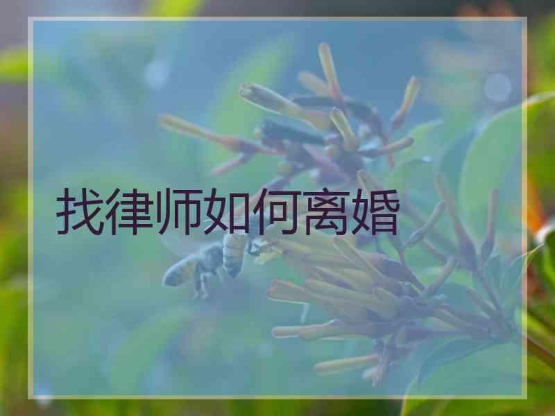 找律师如何离婚