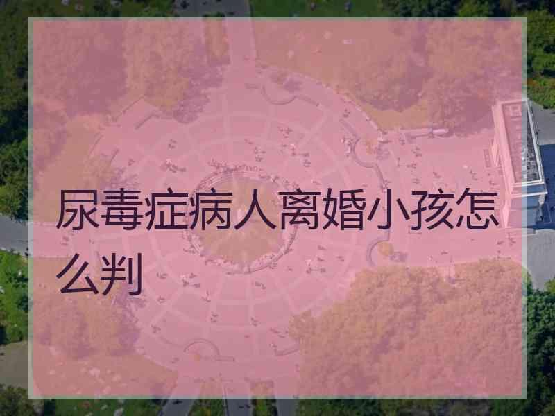 尿毒症病人离婚小孩怎么判