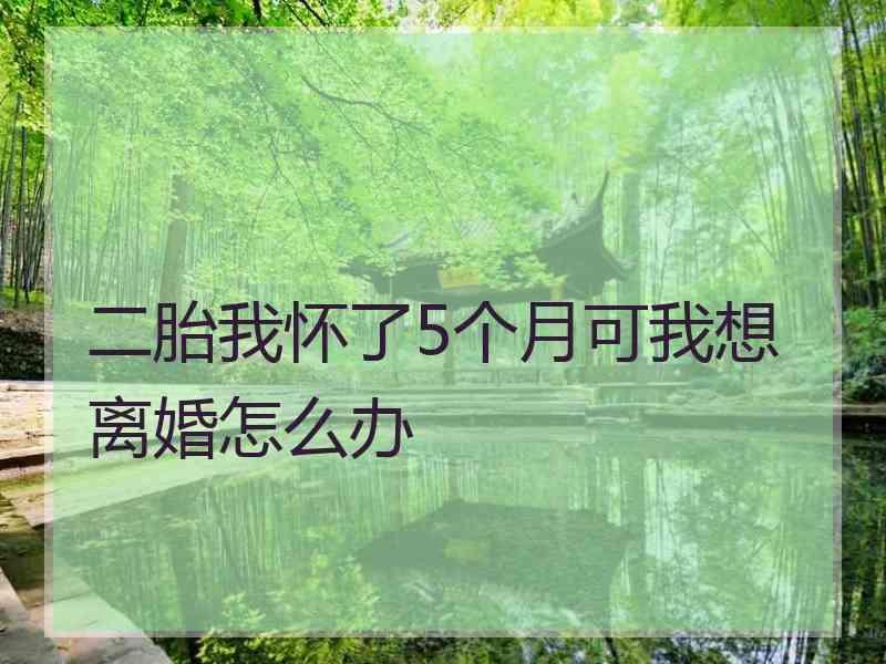 二胎我怀了5个月可我想离婚怎么办