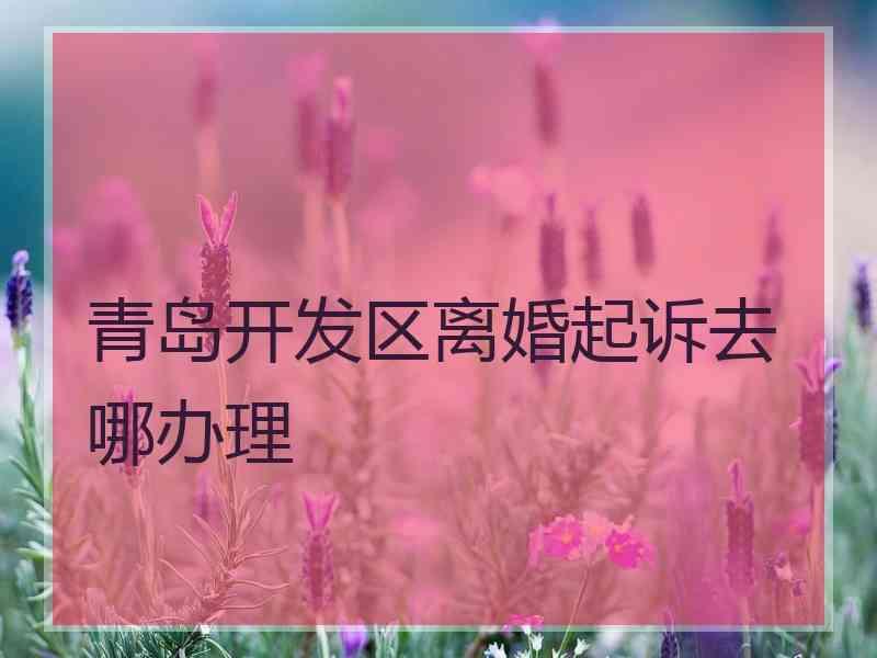青岛开发区离婚起诉去哪办理