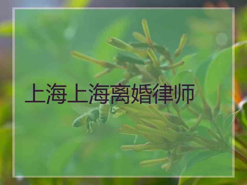 上海上海离婚律师