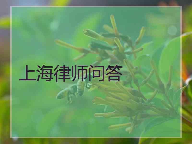 上海律师问答