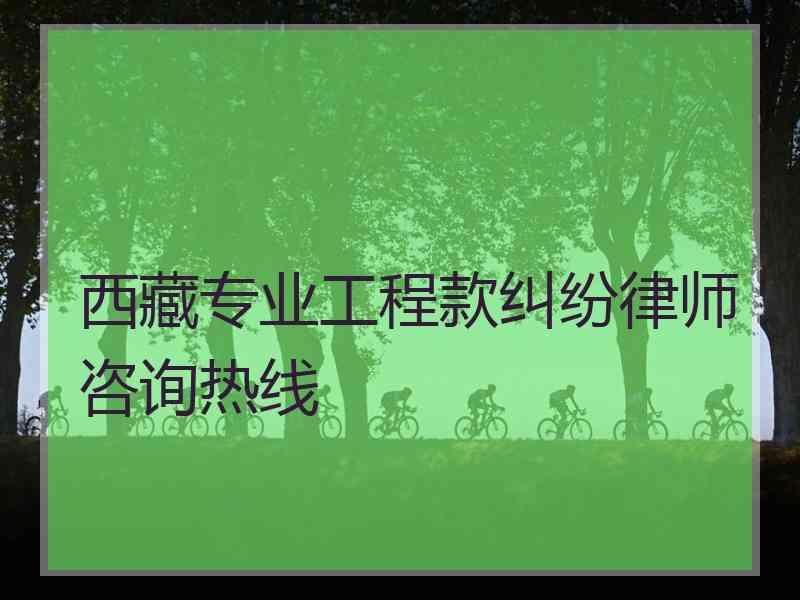 西藏专业工程款纠纷律师咨询热线