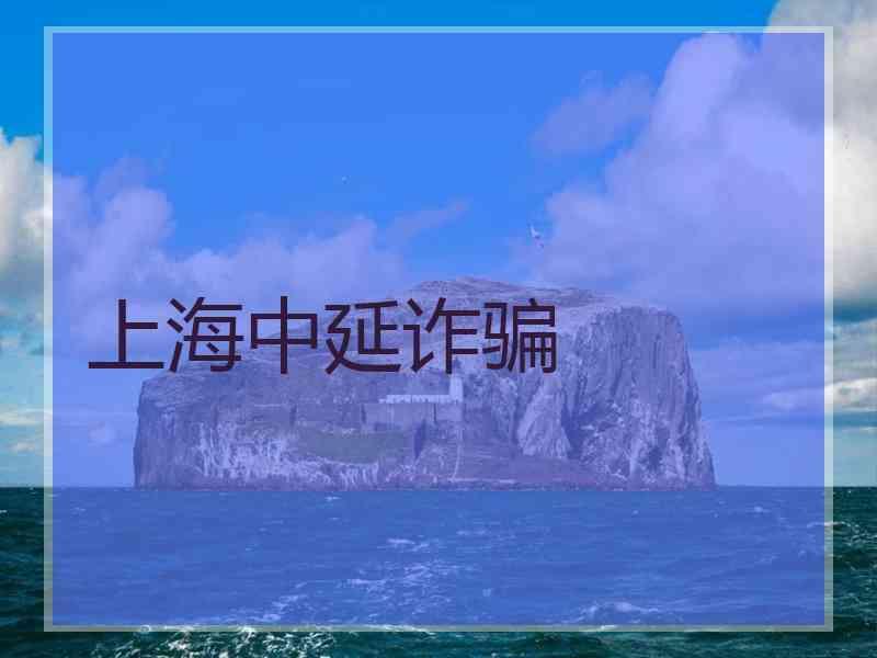 上海中延诈骗