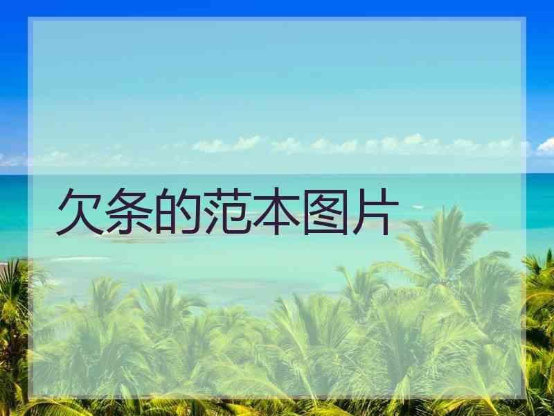 欠条的范本图片