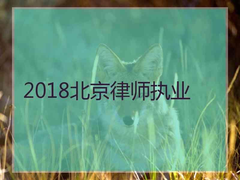 2018北京律师执业