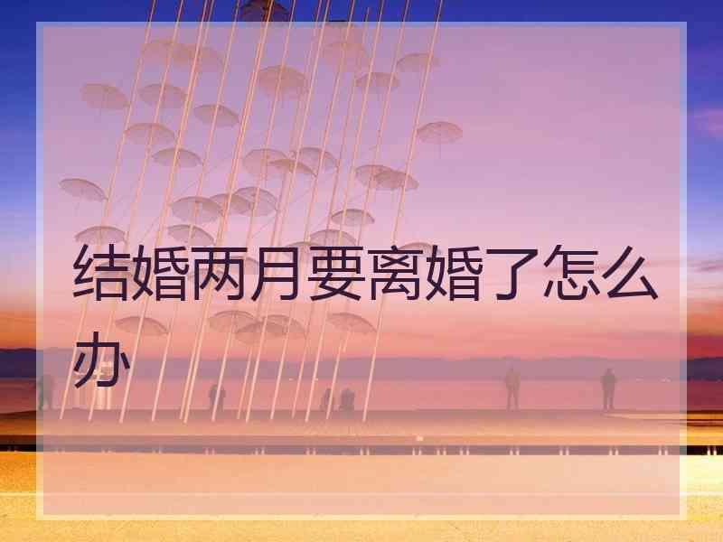 结婚两月要离婚了怎么办