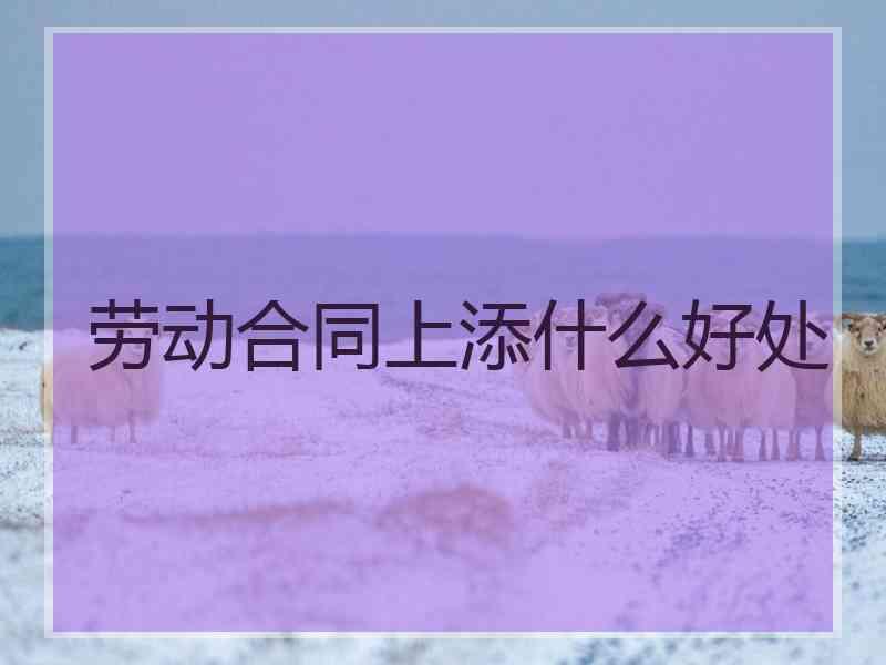 劳动合同上添什么好处