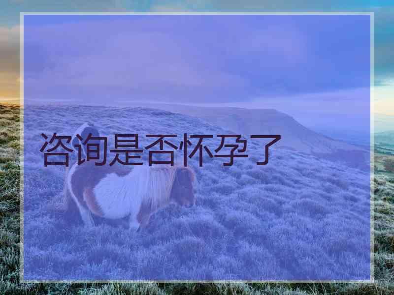 咨询是否怀孕了