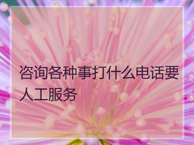 咨询各种事打什么电话要人工服务