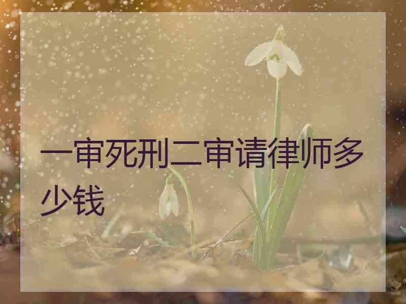 一审死刑二审请律师多少钱