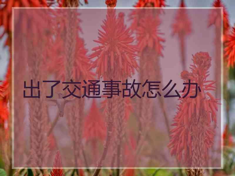 出了交通事故怎么办