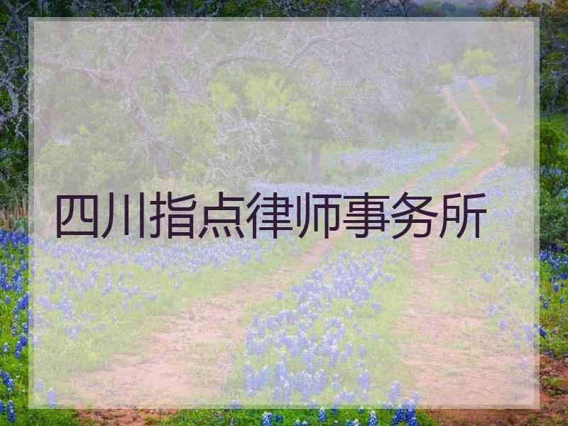 四川指点律师事务所