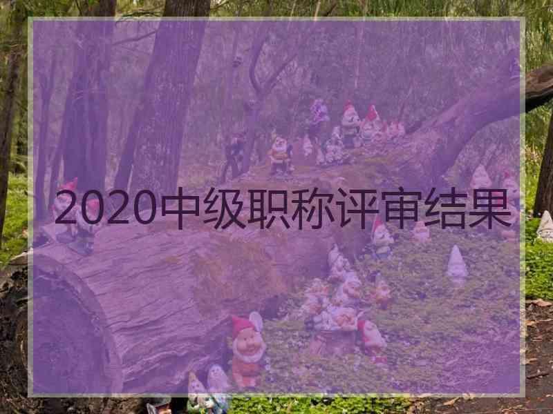 2020中级职称评审结果
