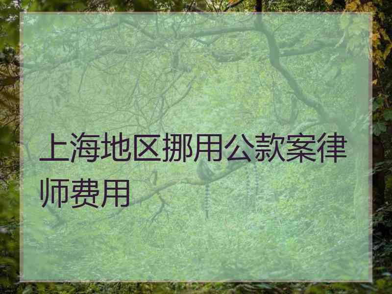 上海地区挪用公款案律师费用