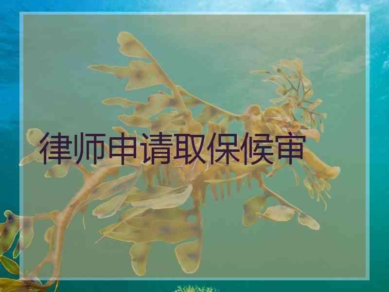 律师申请取保候审