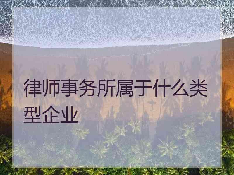 律师事务所属于什么类型企业