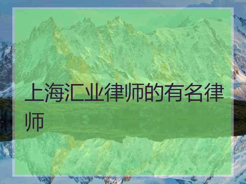 上海汇业律师的有名律师