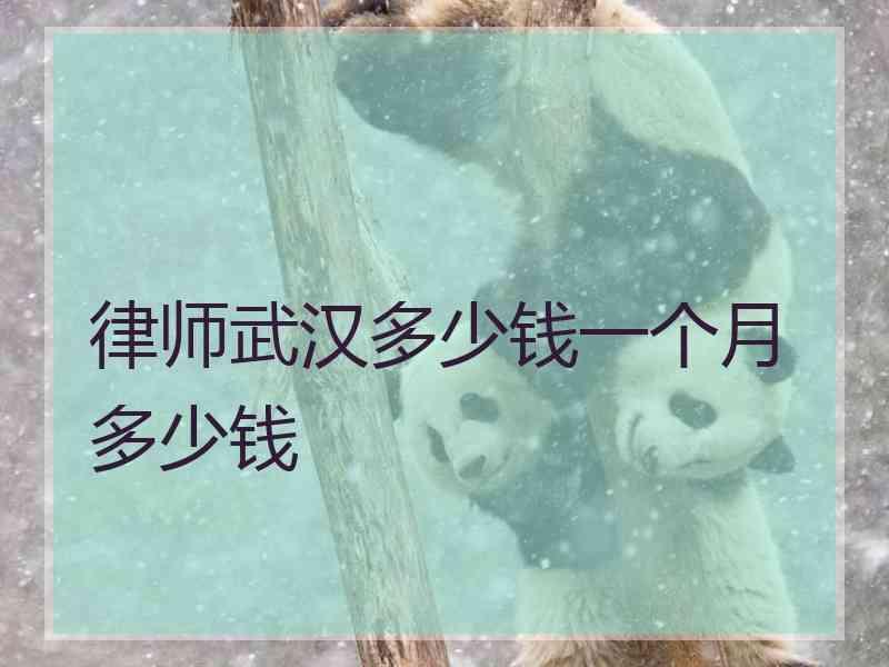 律师武汉多少钱一个月多少钱