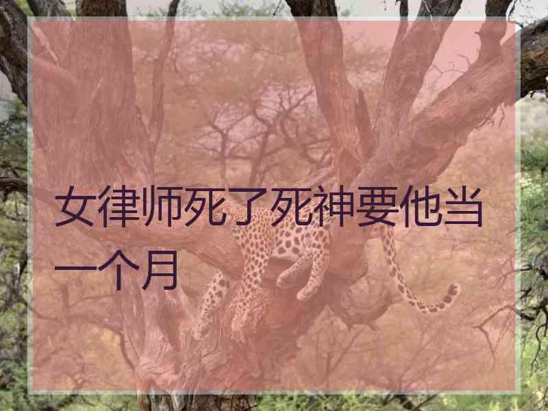 女律师死了死神要他当一个月