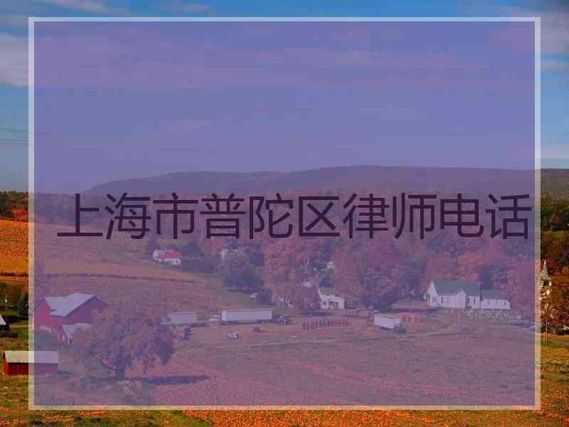 上海市普陀区律师电话