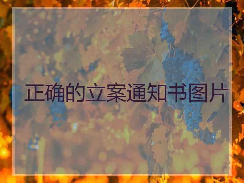 正确的立案通知书图片