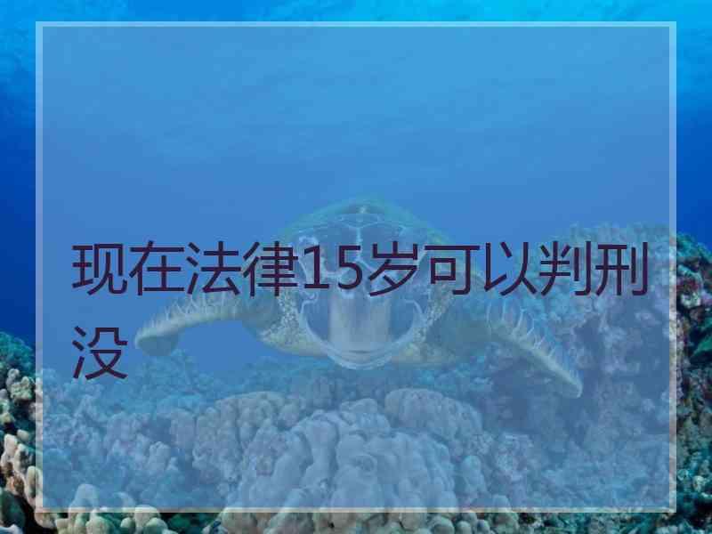 现在法律15岁可以判刑没