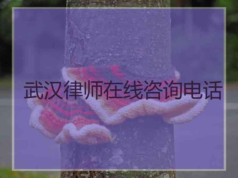 武汉律师在线咨询电话