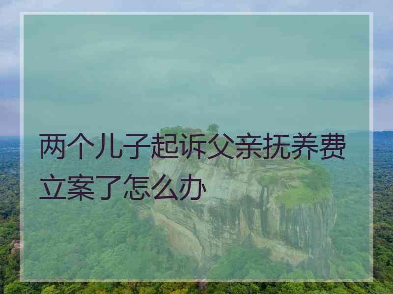 两个儿子起诉父亲抚养费立案了怎么办