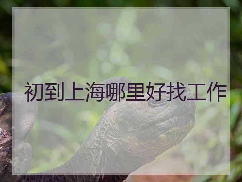 初到上海哪里好找工作