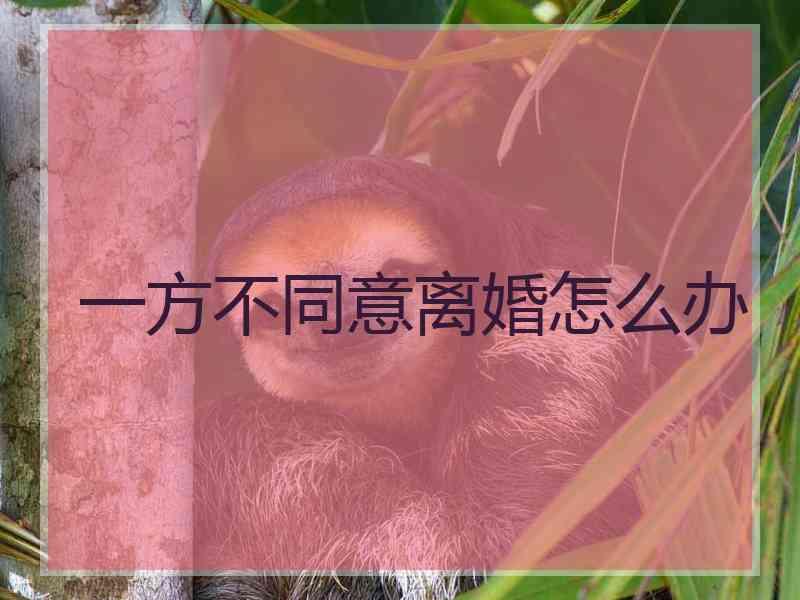 一方不同意离婚怎么办