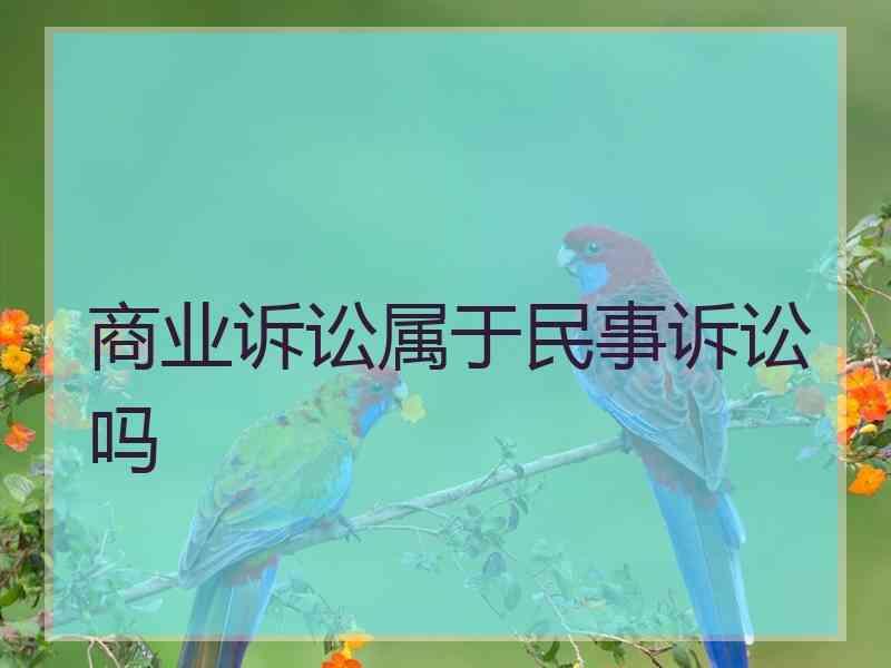 商业诉讼属于民事诉讼吗