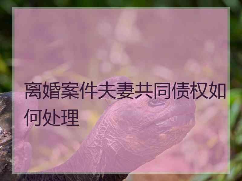 离婚案件夫妻共同债权如何处理