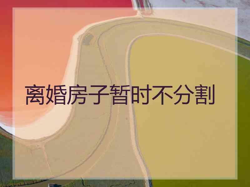 离婚房子暂时不分割