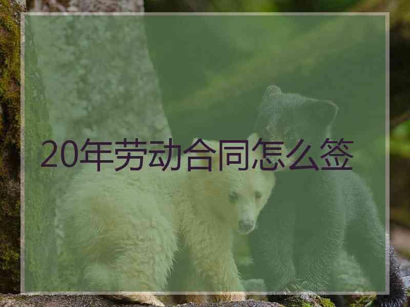 20年劳动合同怎么签